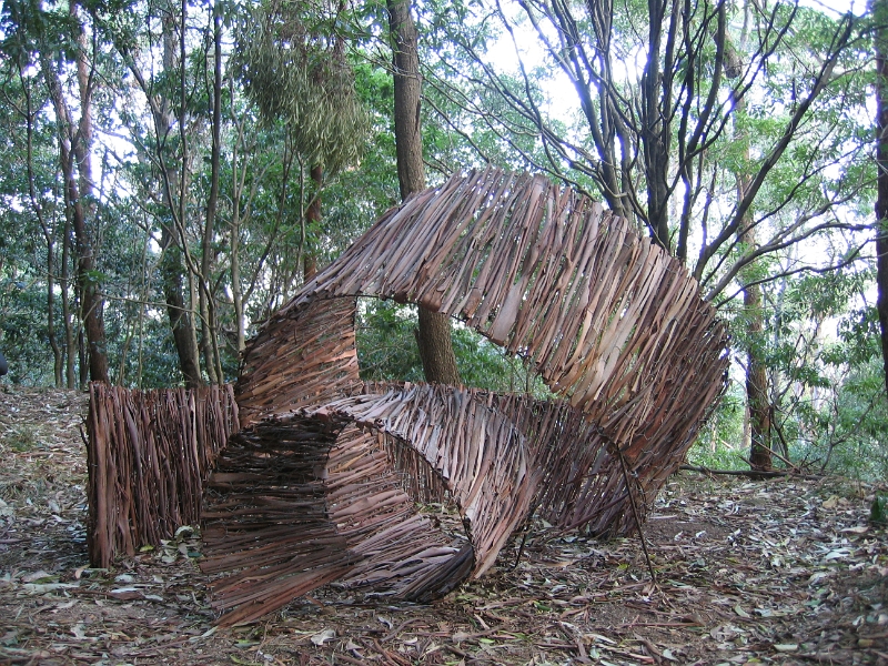 Bark1.JPG