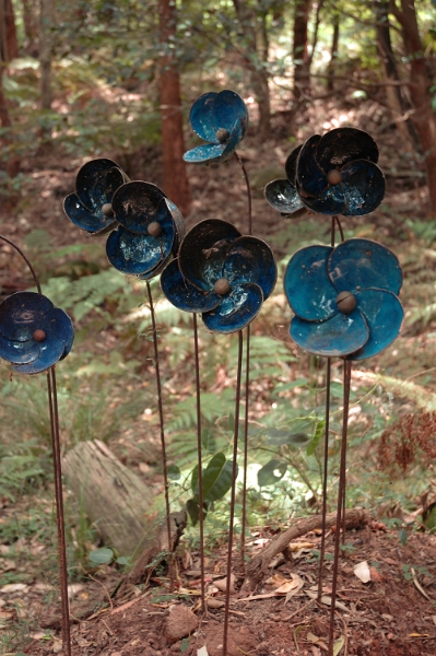 Blueblooms1.JPG