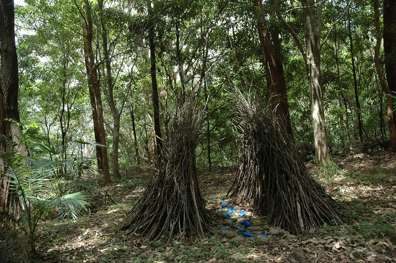Bower1.JPG