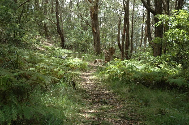 Path1.JPG