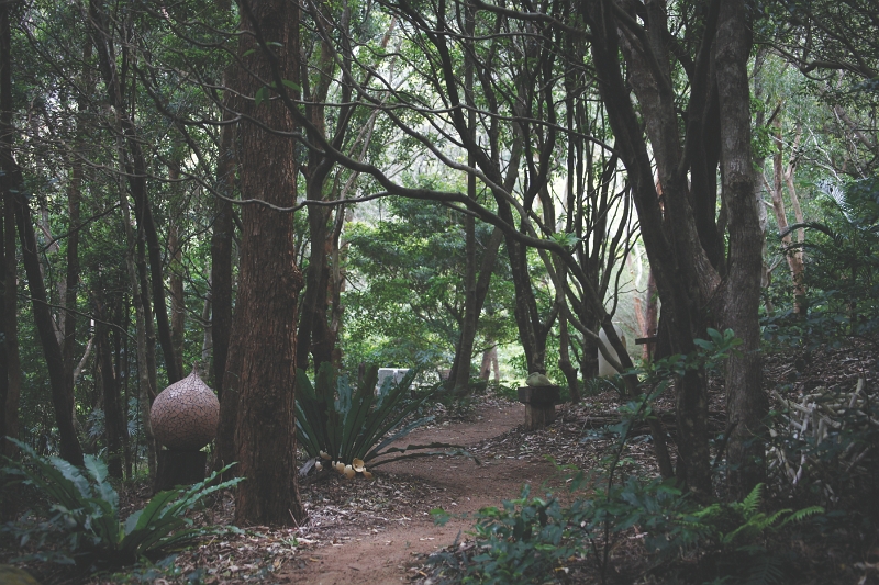 Path3.JPG