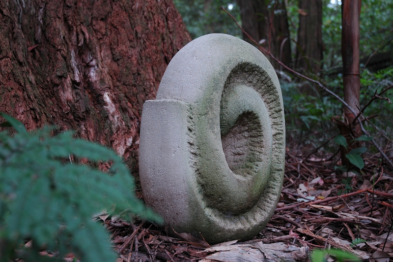 Shellform1.JPG