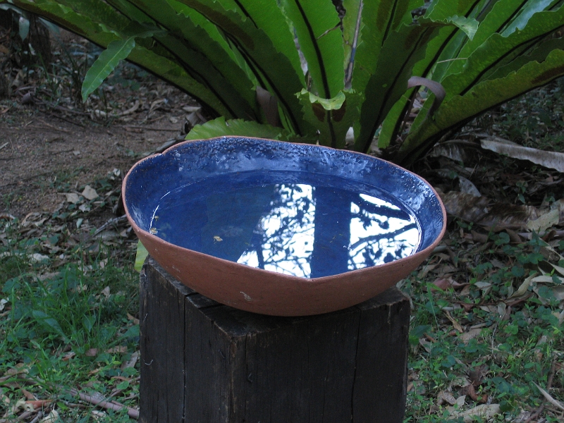 Waterbowl1.JPG