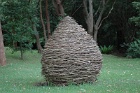 Cocoon2