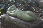 Daydreamer1