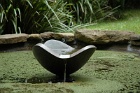 Fountain1