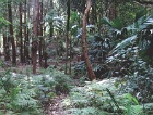 Garden2
