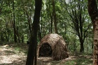Gunyah1