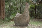 Henrietta1