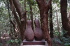 Oddpods1