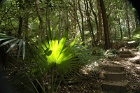 Path2