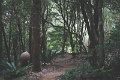 Path3