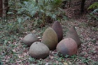 Potbellies1