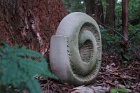 Shellform1