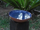 Waterbowl1